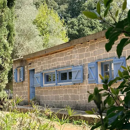 Apartamento Caseddu Corse - Maison Typique