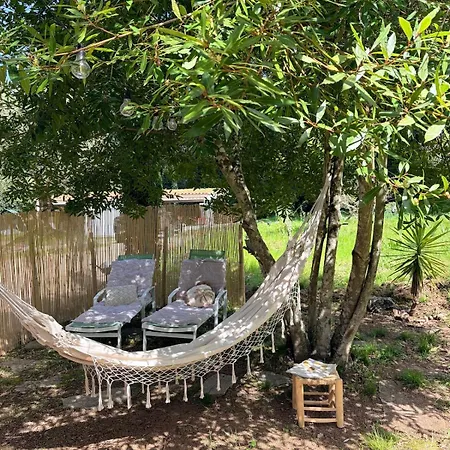 Apartamento Caseddu Corse - Maison Typique Cauro