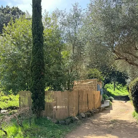 Apartamento Caseddu Corse - Maison Typique